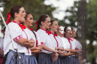 Dożynki Gminno-Parafialne 2026